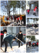 “以雪为令”——鼎盛东街道开展除雪行动